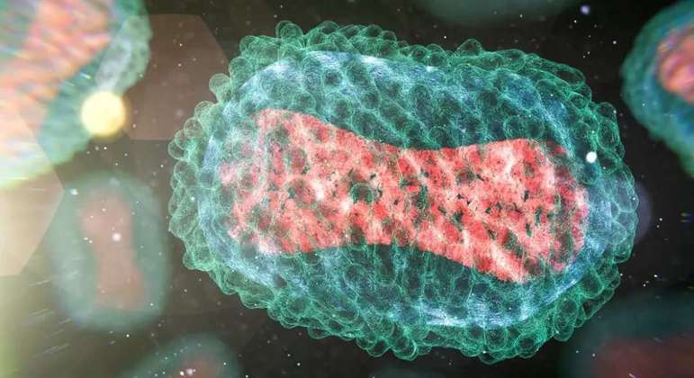 Monkeypox pode ser fatal para quem tem AIDS em estado avançado