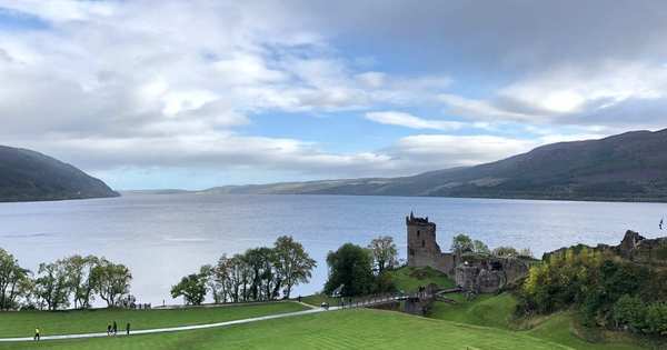 Monstro do Lago Ness - Origem da lenda pode ser enguia ...