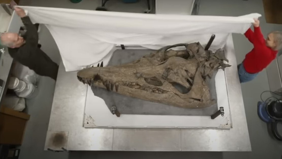 melhor forma de ganhar dinheiro no blaze