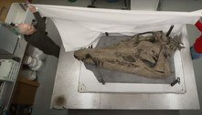 Crânio de possível monstro marinho pré-histórico é encontrado por acaso em praia