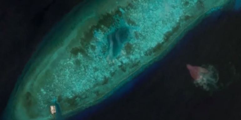 Google Earth scopre un mostro marino?