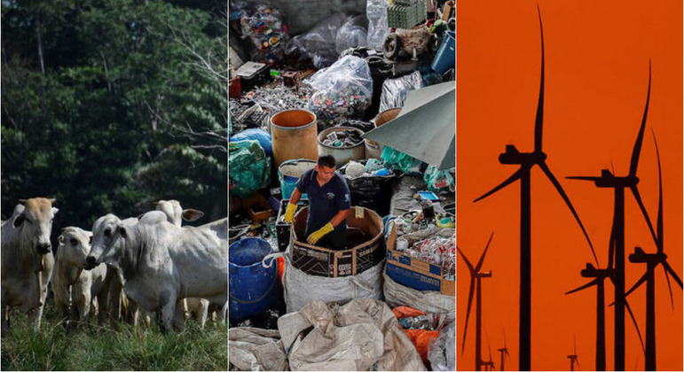 Hábitos alimentares, reciclagem e energia impactam diretamente as questões ambientais