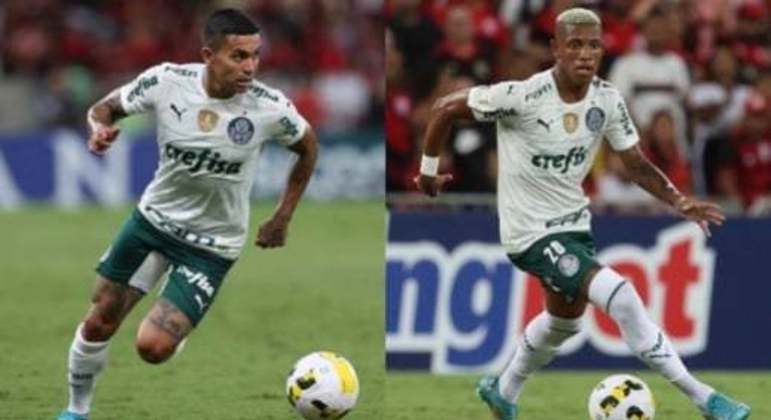 Montagem - Dudu e Danilo - Palmeiras