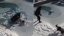 Morador mergulha em piscina congelada para resgatar cachorro 