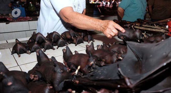 Morcegos são vendidos em mercado indonésio