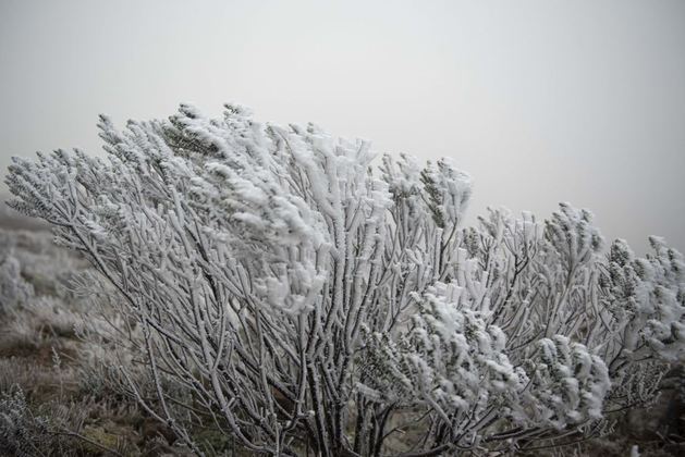 Ainda em Santa Catarina, a cidade de Rancho Queimado teve mínima de -1,0°C e Campos Novos, -0,6°C