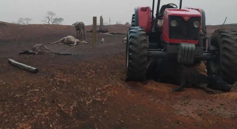 Três pessoas e 20 animais morreram em incêndio em Santo Antônio do Aracanguá