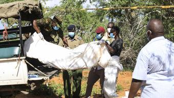 Police find at least 58 bodies in sect that advocated ‘fasting to death’ in Kenya – Photos