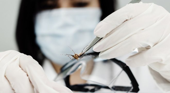 Pesquisas na área de saúde, como sobre o combate ao vírus da Zika e da Dangue, podem ser afetadas