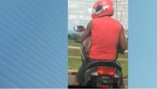 Motociclista é flagrado levando cão no colo no Distrito Federal