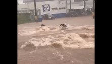Vídeo: tempestade em Ceilândia derruba motociclista e leva moto embora 