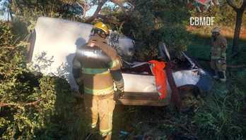 Motorista morre após atropelar capivara e bater carro em árvore (Motorista morre após atropelar capivara e bater carro em árvore em rodovia do DF)