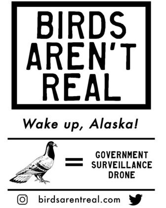 Birds aren t real o movimento contra aves rob ticas espi s