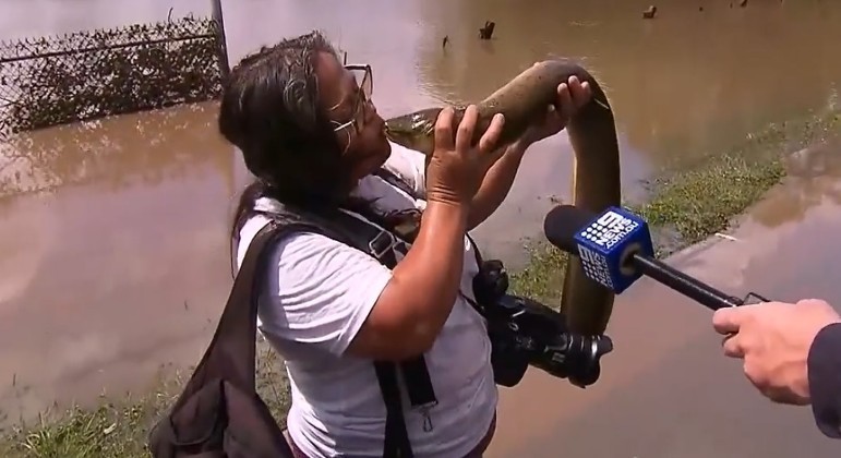 Moradora de Brisbane, na Austrália, beijou a boca de enguia durante entrevista
