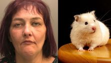 Britânica é presa após cortar e comer o próprio hamster de estimação