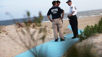 a woman is bitten by a shark in New York (USA);  The attack is the first in the city in decades – News