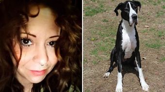 Großer Hund attackiert und tötet Amerikaner vor den Augen seines Sohnes – News