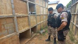 Mulher teria sido enterrada viva em MG por vingança, diz polícia  (Divulgação/ Polícia Militar)