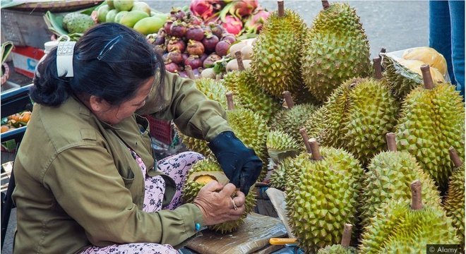 A fruta durião, famosa por seu odor repugnante, poderia fornecer o material para fazer uma nova geração de supercapacitores