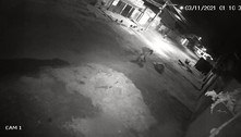 Mulher mata cachorro a facadas em Valparaíso de Goiás