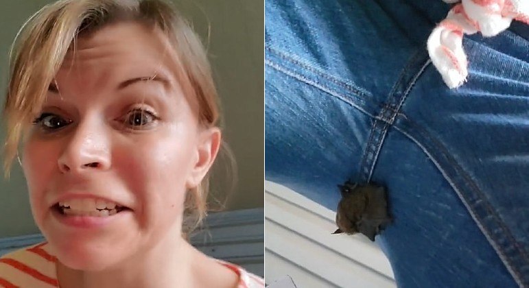 Mulher foi surpreendida por morcego vivo aninhado entre as pernas