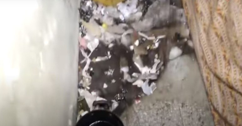 Recentemente, cansado de não poder ver a família, Sujan Majhi procurou a polícia, e disse que teve de alugar outro apartamento, uma vez que a mulher estava trancada na residência anterior da família
