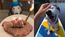 Tutora tira o dia de folga para comemorar o 14° aniversário de seu cão