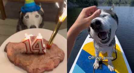 Mulher tira dia de folga para comemorar o aniversário do cão