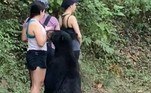 Segundo o site de notícias Infobae América, a 'revista' do urso foi registrada por dois outros visitantes