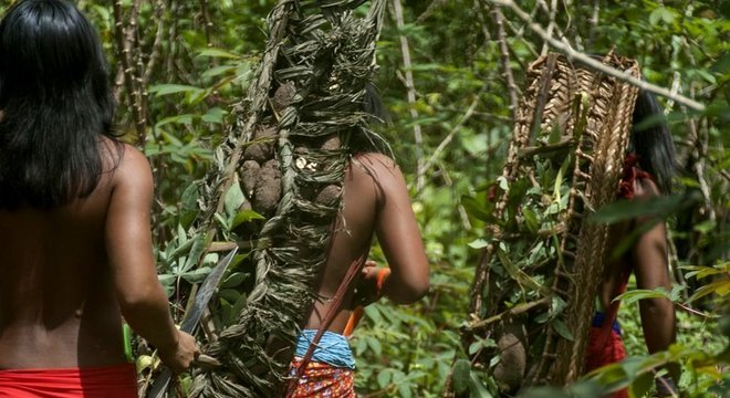 O primeiro contato dos wajãpi com a Funai foi em 1973