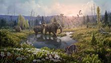 DNA de mais de 2 milhões de anos revela mundo perdido de Mastodontes na Groenlândia