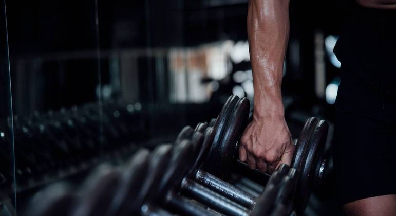 Grupo identificou ainda como diversos exercícios alteram as células musculares
