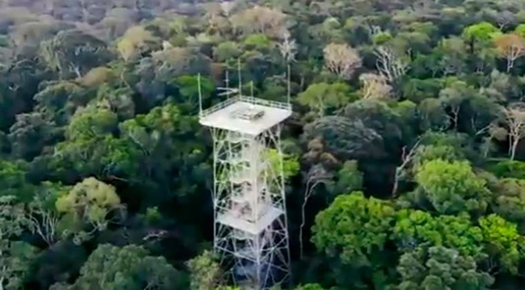 Museu da Amazônia (Manaus): Fundado em 2009, este museu a céu aberto fica na Reserva Florestal Adolpho Ducke.  Tem torres para observação da floresta (foto), tendas de exposição e pavilhões com referências a temas indígenas, fauna e flora.