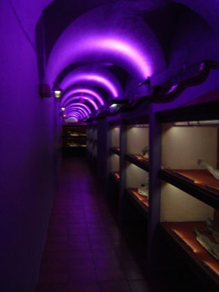 O estranho museu está localizado em Guanajuato, na região centro-sul do país. Uma combinação de ganância do governo, burocracia e condições do solo da região ajudou na fundação da atração