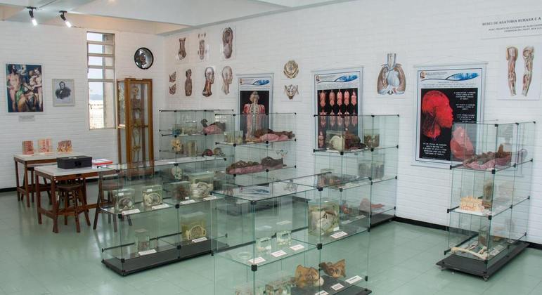 Museu de Anatomia Humana da UnB