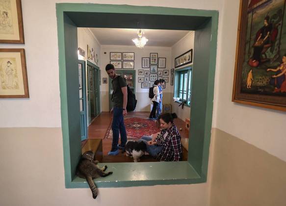 Museu de gatos em Teerã, capital do Irã