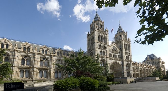 O mineral foi descoberto dentro de uma rocha que está no Museu de História Natural de Londres desde 1964