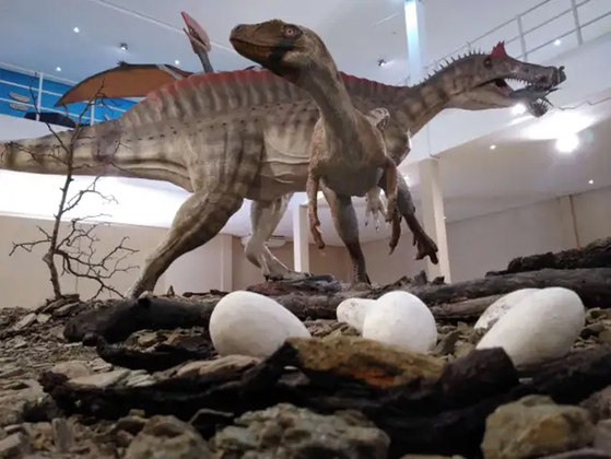 Museu de Paleontologia Plácido Cidade Nuvens - Fica em Santana do Cariri, a 523 km da capital Fortaleza, no Ceará. A pequena cidade, de 18 mil habitantes, é uma potência na pesquisa de fósseis. É chamada 