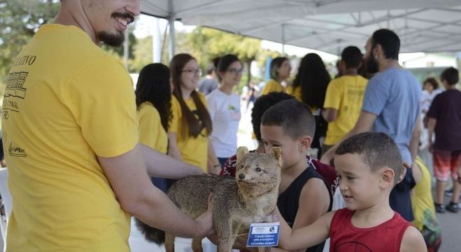 As crianças que visitaram a exposição puderam conhecer animais empalhados