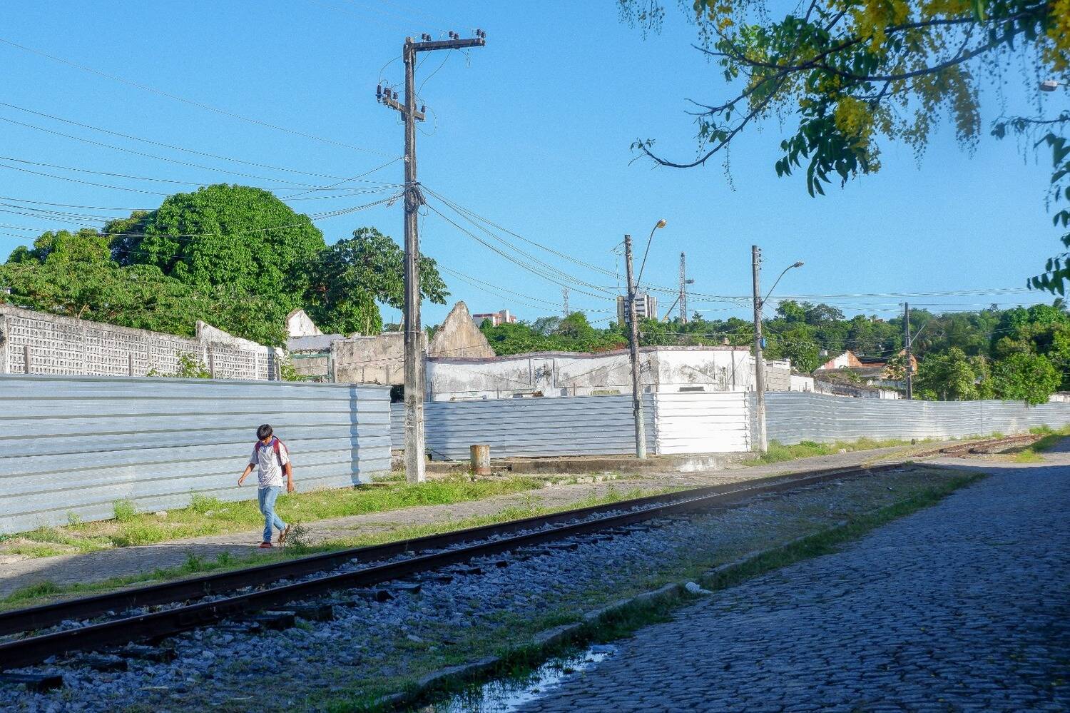 Peixe na água e rede vazia: desastre da Braskem atinge pescadores