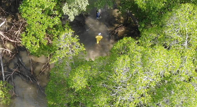 Voluntários fazem limpeza em área de mangue em Morro de São Paulo