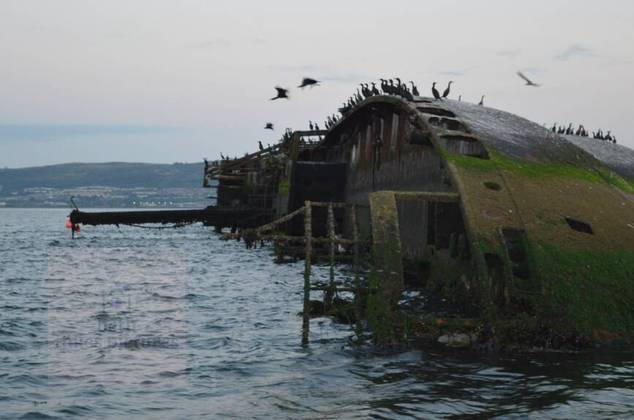 Atualmente servindo de casa para algumas espécies aquáticas, o MV Captayannis, está naufragado no rio Clyde, na Escócia, desde 1974, após bater em um petroleiro durante uma tempestade