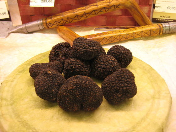 Na época, além de serem apreciadas por seu sabor e aroma únicos, as trufas negras eram conhecidas pelas suas propriedades medicinais.