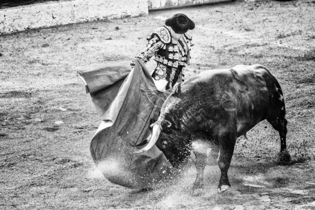 Na Espanha, as touradas também foram declaradas como Patrimônio Cultural e Imaterial, mas foram proibidas pelas autoridades locais primeiro nas Ilhas Canárias em 1991 e depois na região autônoma da Catalunha, em 2012. 
