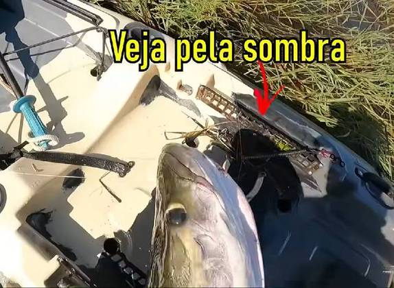 Na hora de devolver o peixe para o rio, o animal dá um bote na tentativa de se soltar e acaba atingindo a boca do pescador.