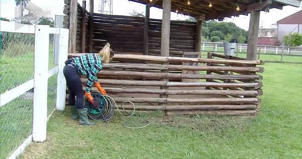 Nadja conversa e dá banho nos porquinhos da Fazenda ...