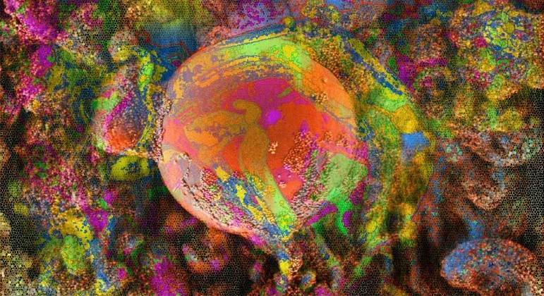 Enio Longo faz arte em cima de fotos tiradas por microscópios