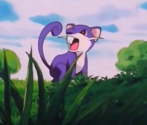 Não tem como olhar para esse Pokémon e não achar que estamos vendo um ratinho, não é mesmo? Ele é famoso também pela sua cor roxa. 