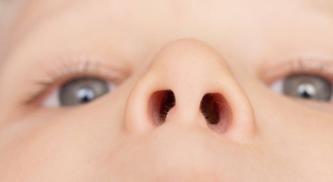 Narinas - para que servem e como influenciam o funcionamento do nariz