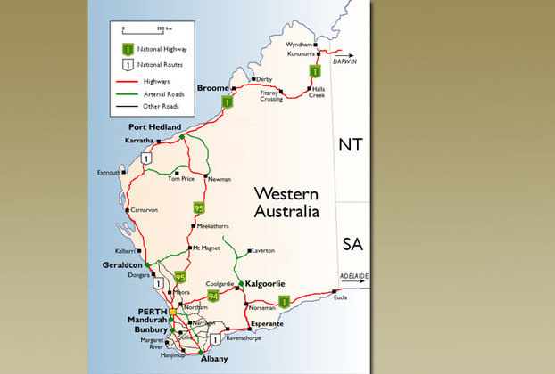 Nativos das áreas centrais da Austrália, as aves assemelhadas aos avestruzes invadiram as fazendas. 